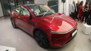 Tesla Model Y (India में)