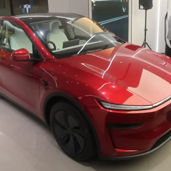 Tesla Model Y (India में)